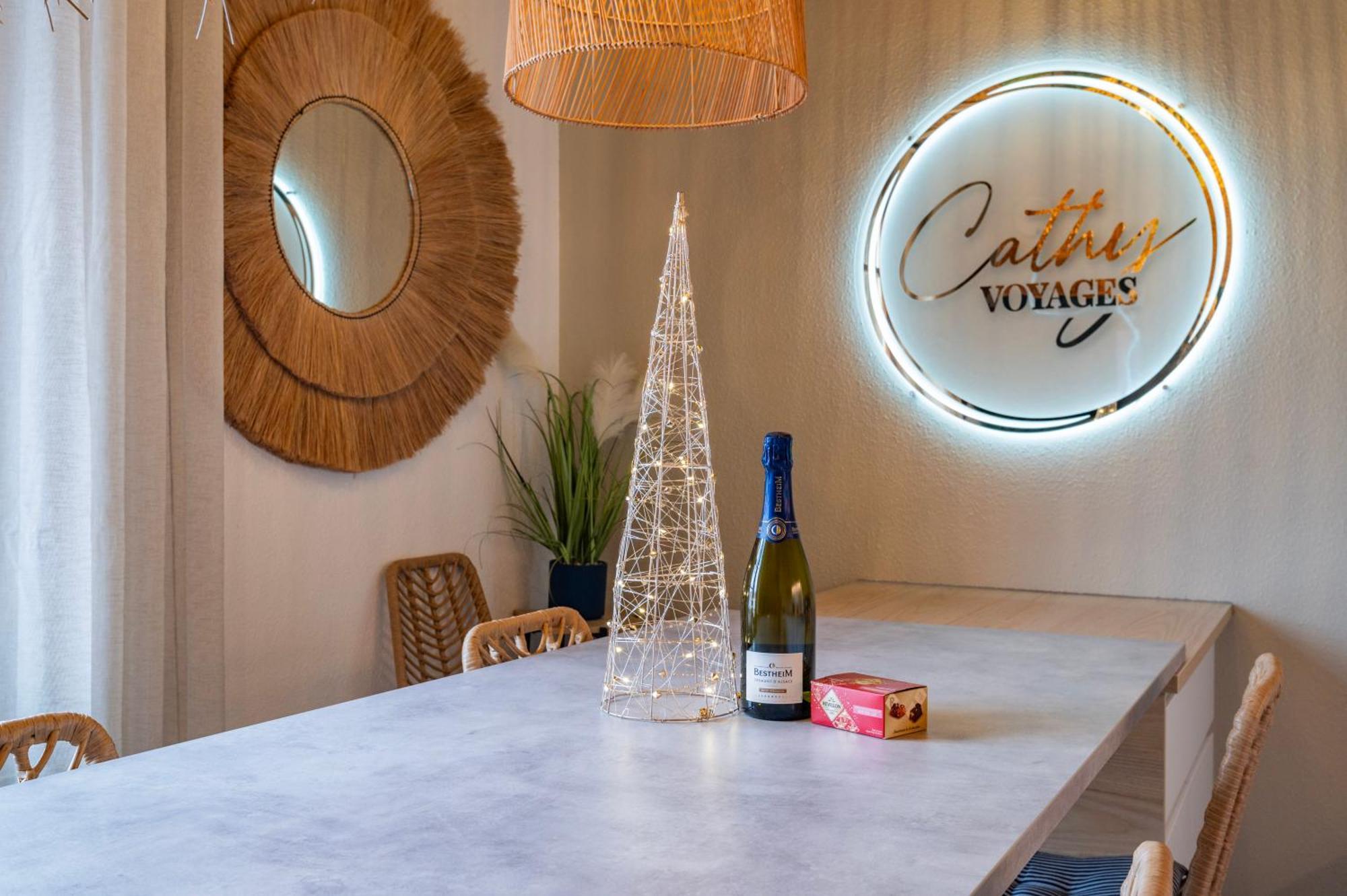 Cathyvoyages - Luxe Et Evasion - Gare 2 Min Et Ville 4 Min - Ciel Etoile - Netflix Videoprojecteur - Garage Possible Ou Parking Gratuit ストラスブール エクステリア 写真